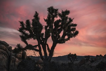 Unsplash ID 2A3UJYdJXn4