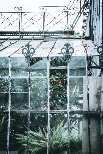 Unsplash ID 2DXqsO2eY3I