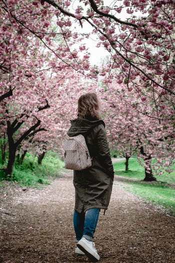 Unsplash ID 2g4tPn43KQM