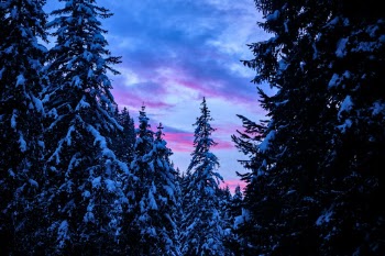 Unsplash ID 2gMDqim35xw