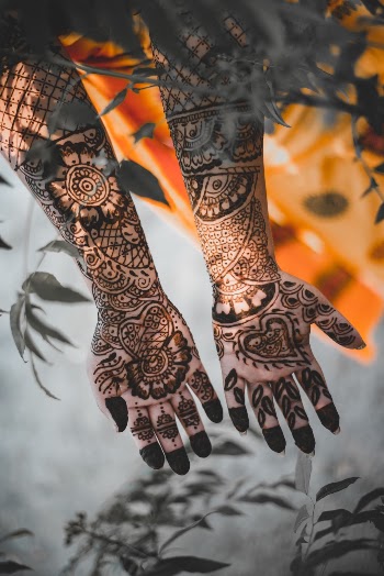 Unsplash ID 2Kdh80yEF84