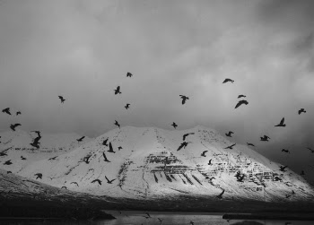 Unsplash ID 2ksPvCaaJ5Y
