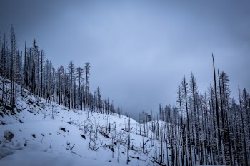 Unsplash ID 2LXHwTGOIPo