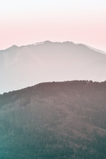 Unsplash ID 2N9CkMUatW0