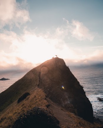 Unsplash ID 2peQ6uafsMs