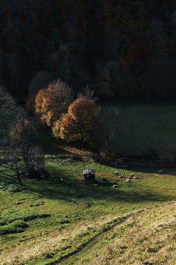 Unsplash ID 2r6L7Mw32Fc