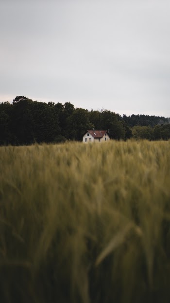 Unsplash ID 2RYs4mRqbM4