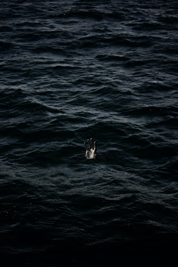 Unsplash ID 2XFsg05WUCA