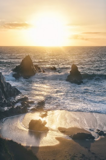 Unsplash ID 2XpaA2Cxq5c