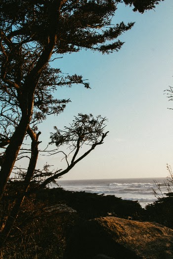 Unsplash ID 2YWk3qvbqgM