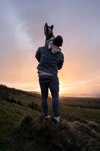 Unsplash ID 328lTALt7DU