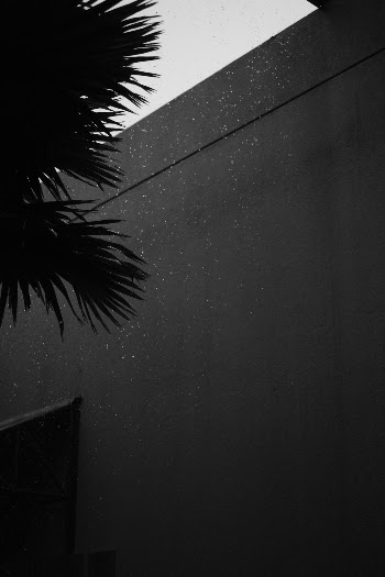 Unsplash ID 32Ndz-tDoYU