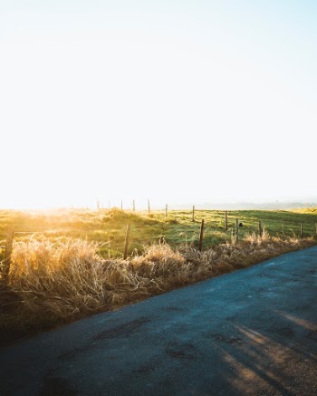 Unsplash ID 37GK7mshhtw