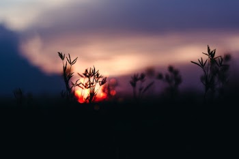 Unsplash ID 381mluBoRI8