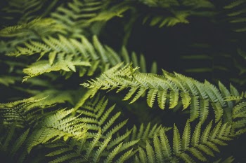 Unsplash ID 3A01RX4NUUA