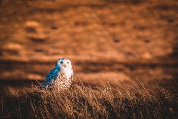 Unsplash ID 3bOElZGFIBc