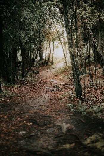 Unsplash ID 3eq4ZKzGiQM