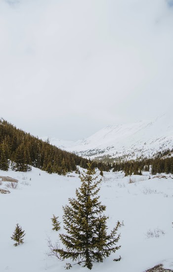 Unsplash ID 3GkGBBvKCek