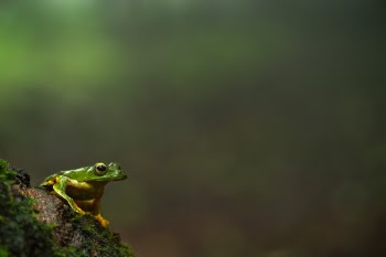 Unsplash ID 3HDao9OoFuw