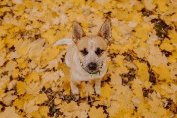 Unsplash ID 3JGe7oyR0-o