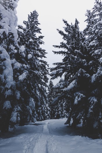 Unsplash ID 3Kd2f4juGHw
