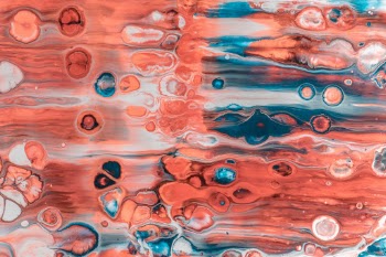 Unsplash ID 3kvvTckVHhs