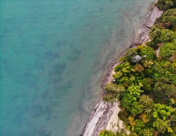 Unsplash ID 3LSDEsiGRHU