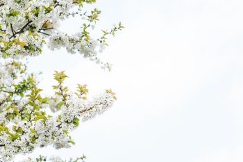 Unsplash ID 3mwLg4zztbM