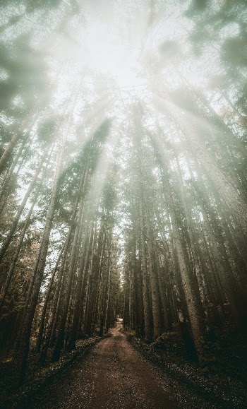 Unsplash ID 3N9yzE5XkZk