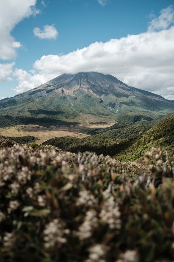 Unsplash ID 3OkGr42P04c