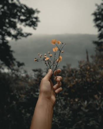 Unsplash ID 3oWop6MFYfc