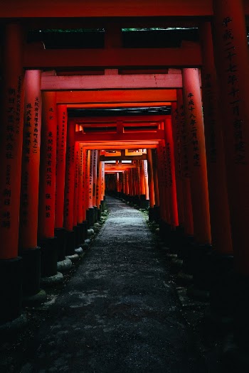 Unsplash ID 3PY3dF5HPZA