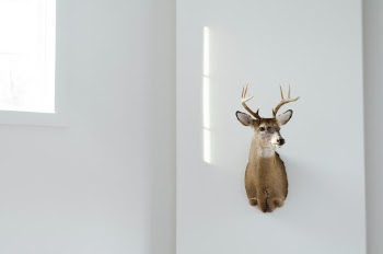 Unsplash ID 3Q4Gqbr6Fx8