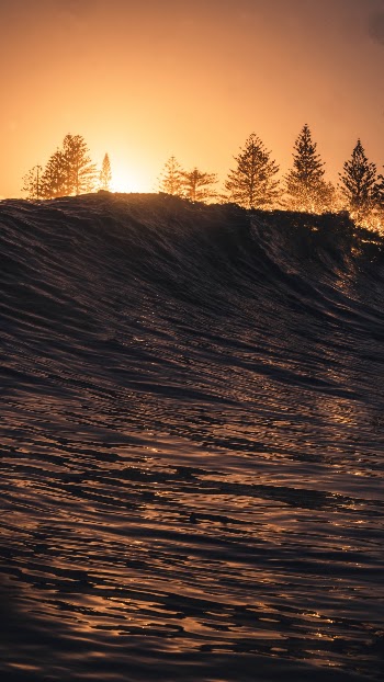 Unsplash ID 3RRkc4uIS3c