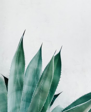 Unsplash ID 3s3DiFYdsDE
