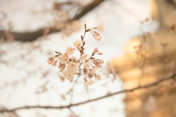 Unsplash ID 3sVfKmAjduI