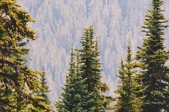 Unsplash ID 3tBfSX3amQo