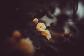 Unsplash ID 3tvnHnUXjDU