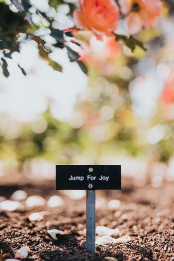 Unsplash ID 3TXtQAmMdWU
