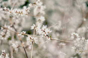 Unsplash ID 3uoy2j1mckQ