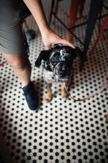 Unsplash ID 3v6848LL3oM
