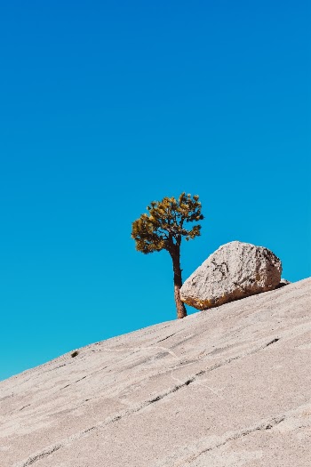 Unsplash ID 3YbnpFS39oc