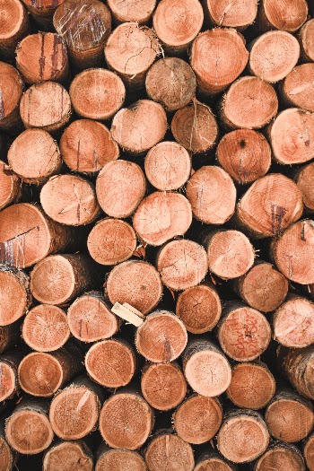 Unsplash ID 3yC7FphJtB0