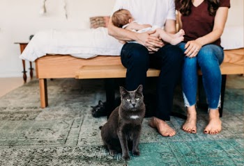 Unsplash ID 3z5XdF6deC4