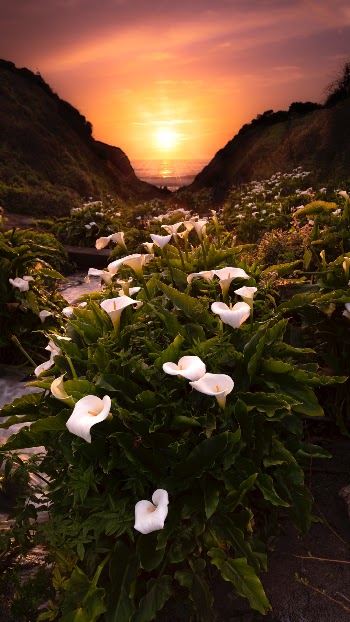 Unsplash ID 45MqJn7tjkg