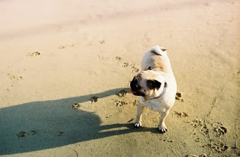 Unsplash ID 464wfabbCGQ