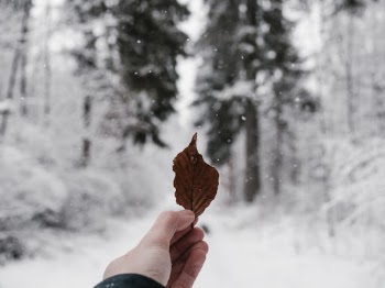 Unsplash ID 4ChMO0G11Yw