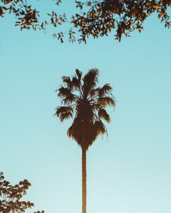 Unsplash ID 4gQPVbIG9kg