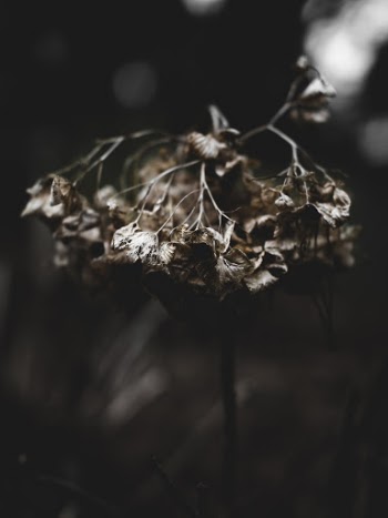 Unsplash ID 4gRvUHc9ls4