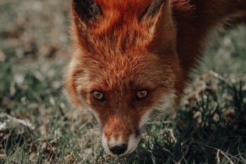 Unsplash ID 4M0dNfJ4TJE